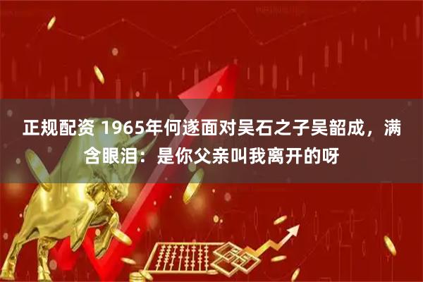 正规配资 1965年何遂面对吴石之子吴韶成，满含眼泪：是你父亲叫我离开的呀