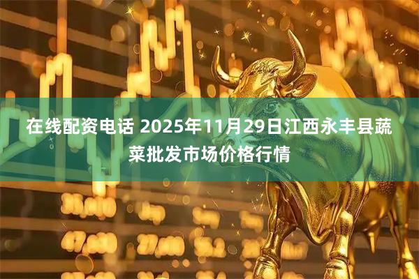 在线配资电话 2025年11月29日江西永丰县蔬菜批发市场价格行情