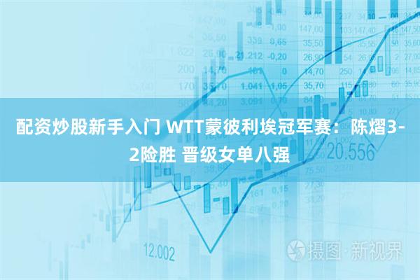 配资炒股新手入门 WTT蒙彼利埃冠军赛：陈熠3-2险胜 晋级女单八强